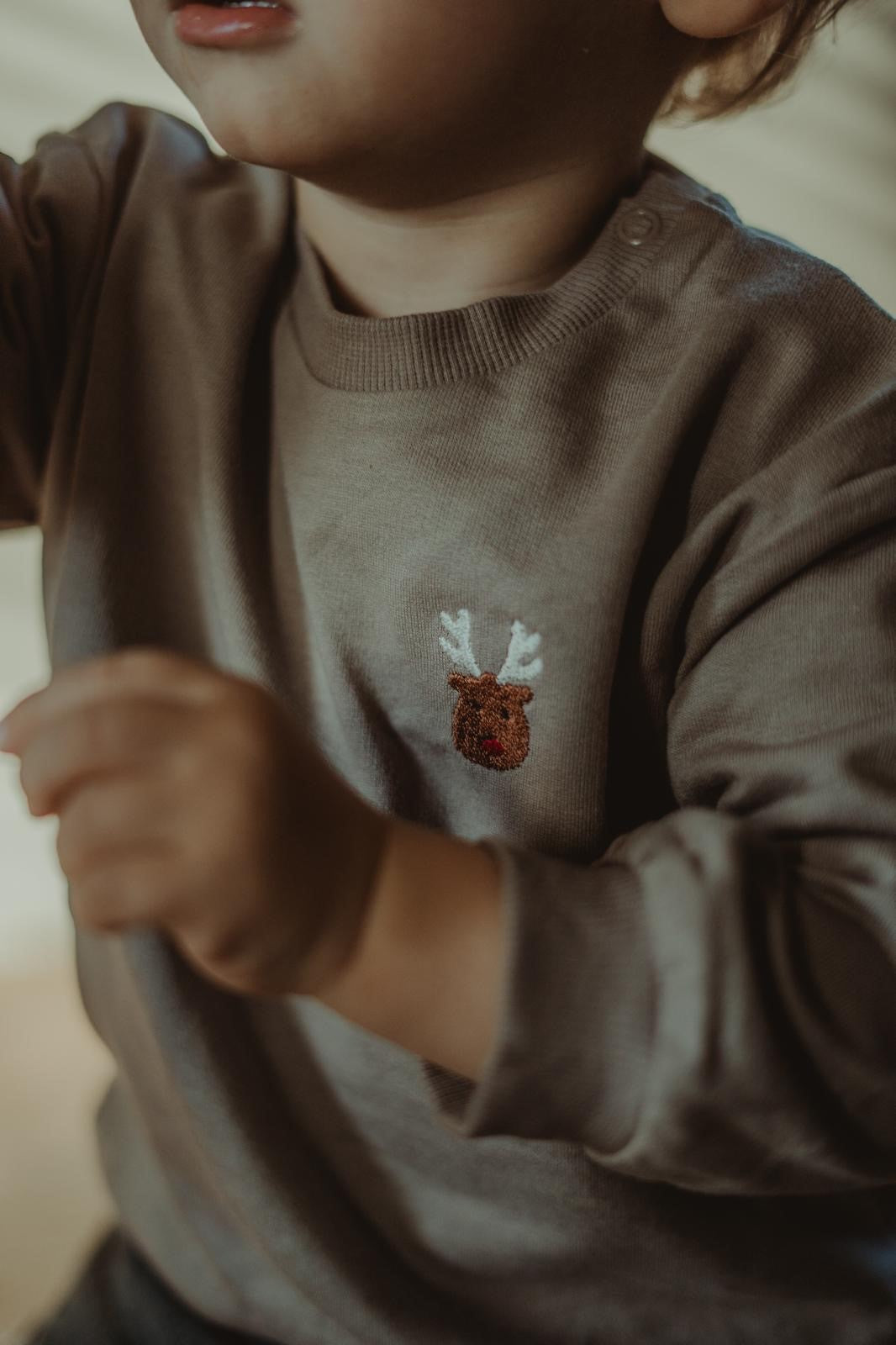 Onze unieke Trui (Clay met rendier)